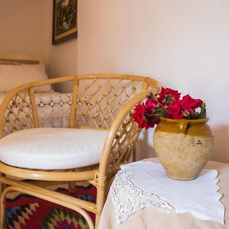 Homestay Porta *